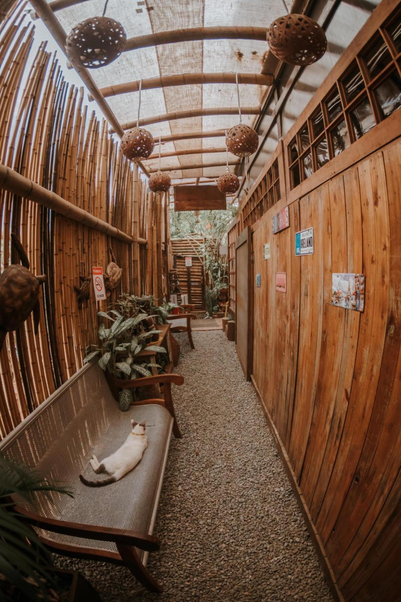Doce Lar Hostel Noronha Fernando de Noronha Exterior foto
